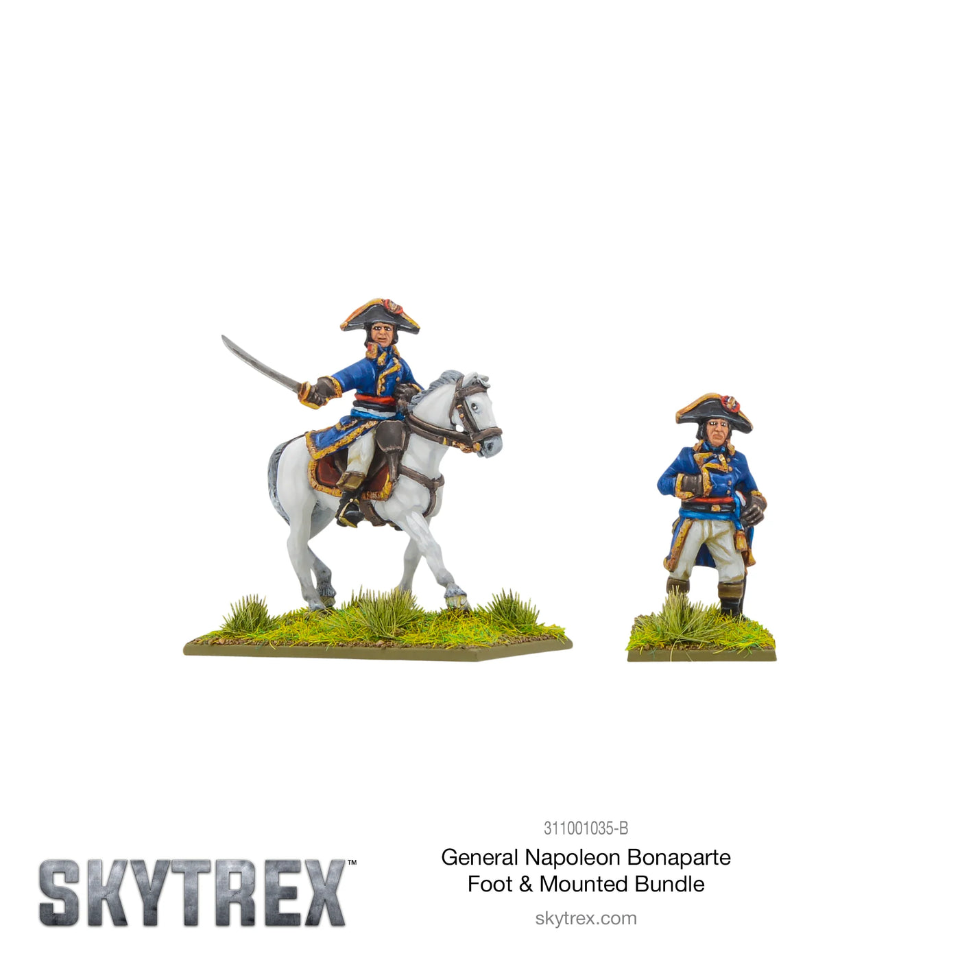 Mounted and foot Napoleon