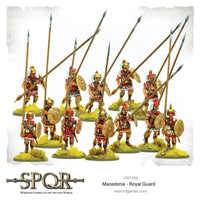 Macedonian Royal Guard - SPQR 2