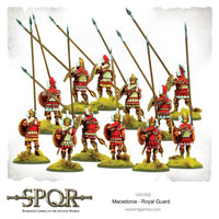 Macedonian Royal Guard - SPQR 3