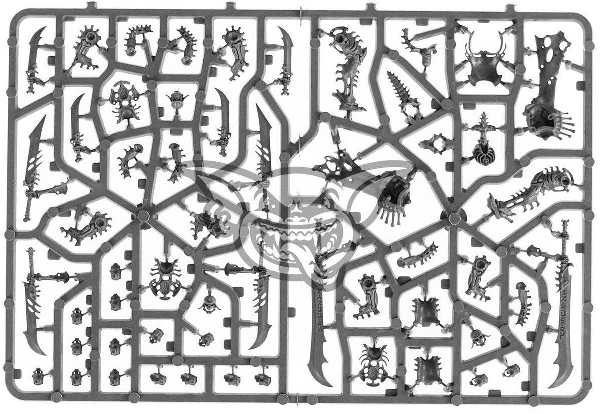 x3 Crypt Horrors Plastique Warhammer AOS | P-00IMG
