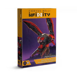 Skyhounds, Combat and Recon Air Squadron