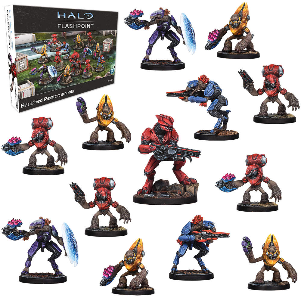 Halo: Flashpoint - Banished Reinforcements