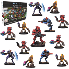 Halo: Flashpoint - Banished Reinforcements