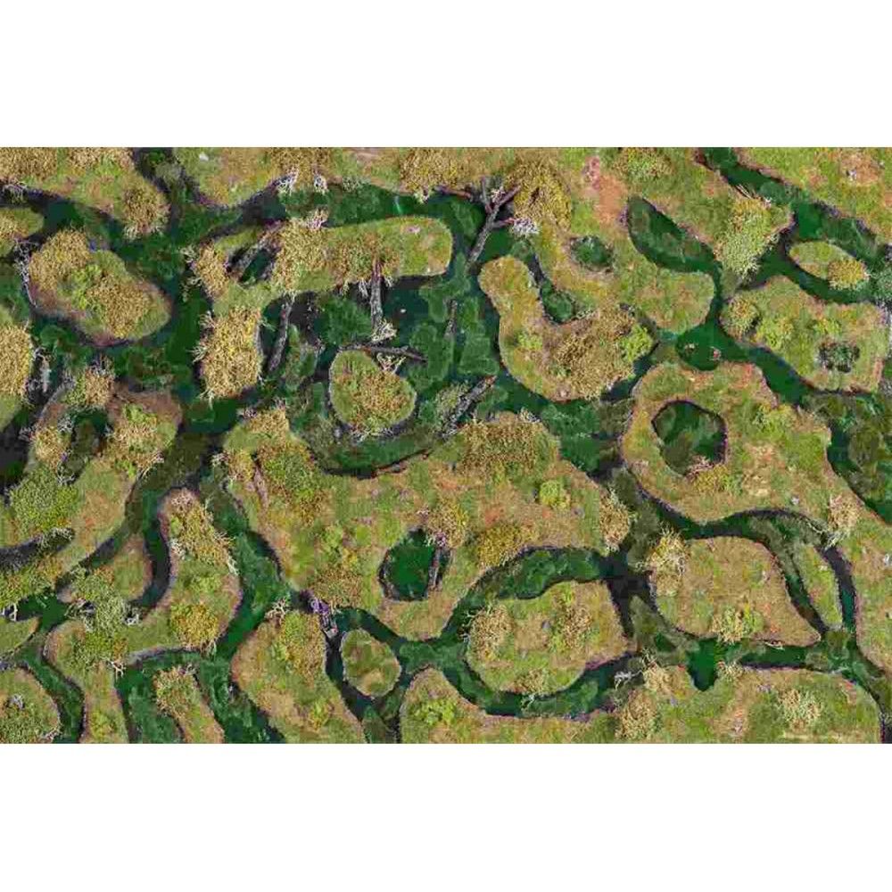 Forsaken Swamp 6x4 Gaming Mat - Kraken Wargames
