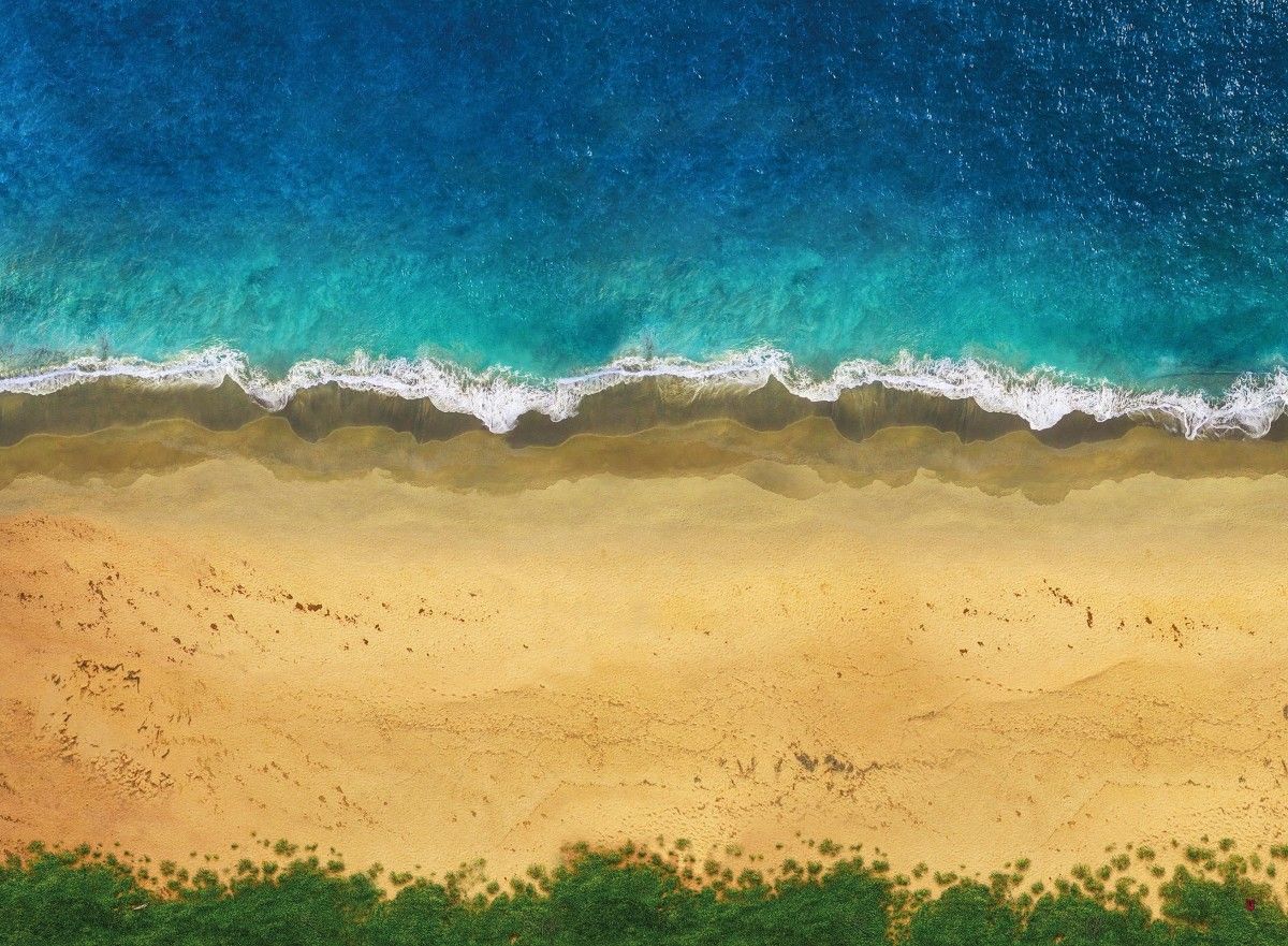 Long Beach 44
