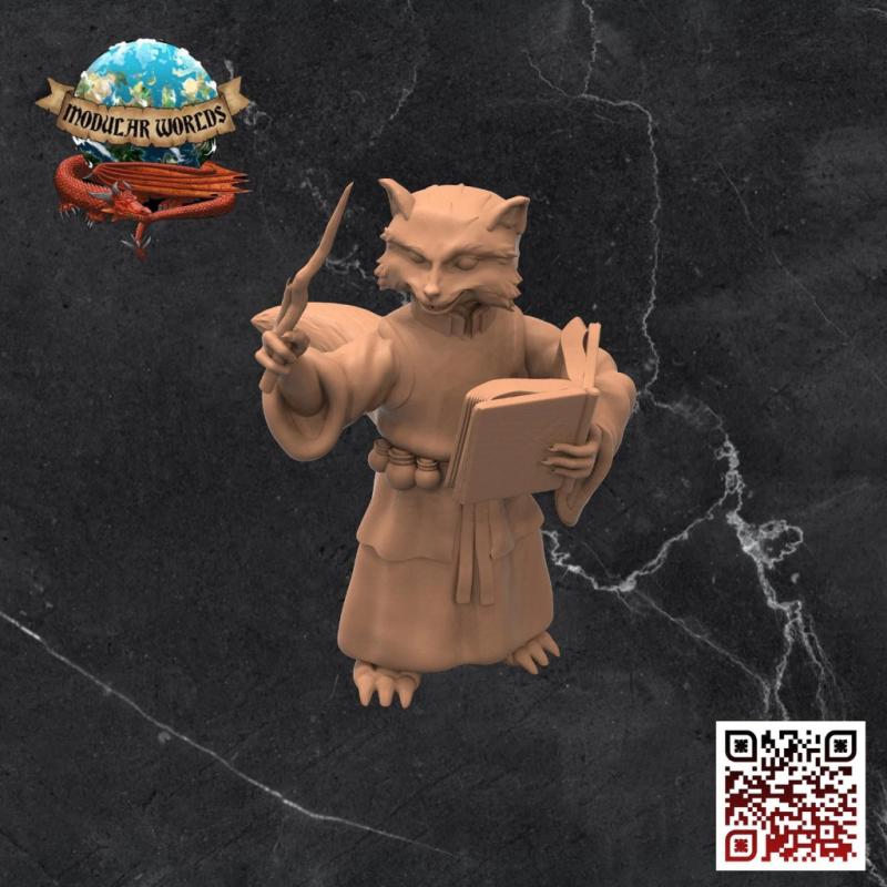 Raccoonfolk Wizard - Modular Worlds