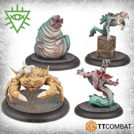 Bestial Evolution - Rashaar