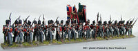 British Napoleonic Infantry 3
