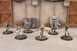 Institute Synths - Fallout Wasteland Warfare