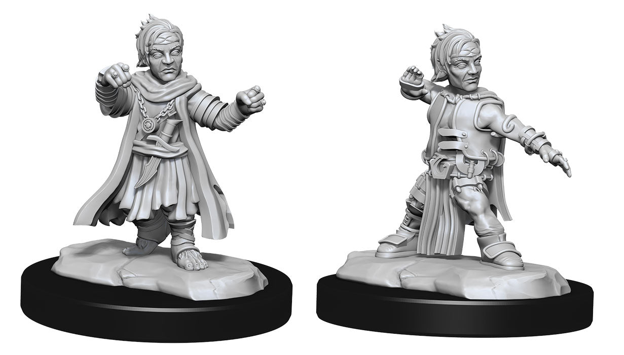 Halfling Monk Male - Pathfinder Battles Deepcuts (Wave 15)