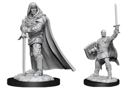 Human Paladin Male (Wave 13) - Nolzurs Marvelous Miniatures