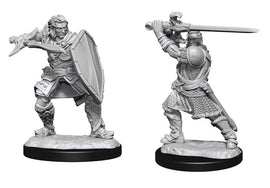 Human Paladin Male (Wave 14) - Nolzurs Marvelous Miniatures