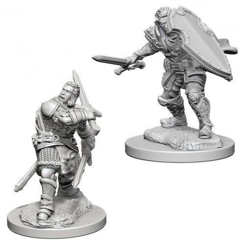 Nolzur's Marvelous Miniatures: Human Male Paladin Blister Pack (Wave 3)