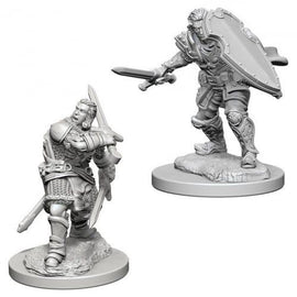 Nolzur's Marvelous Miniatures: Human Male Paladin Blister Pack (Wave 3)