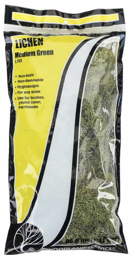 Ground Cover: Medium Green Lichen