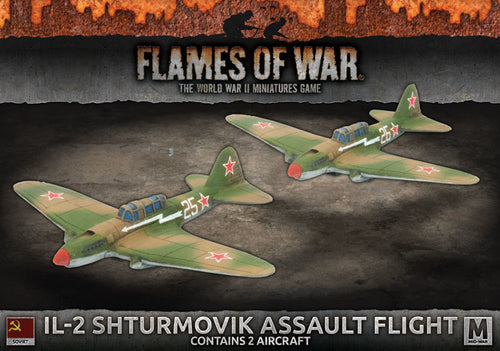 Soviet IL-2 Shturmovik Assault Flight